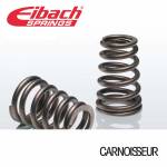 Eibach Cargo Pro Springs to fit Citroen Jumper