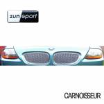 Zunsport Top Grille Set to fit BMW Z4