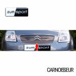 Zunsport Upper Grille to fit Citroen C2