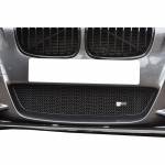 Zunsport Lower Grille to fit BMW 1 Series F20