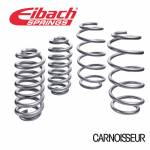 Eibach Pro Lift Kit Springs to fit Nissan Qashqai